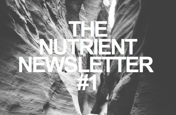 The Nutrient: Birth defects, artificial sweeteners, squats, and a bull moose