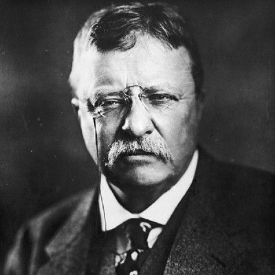 Theodore Roosevelt On Building Resilience to Navigate Loss