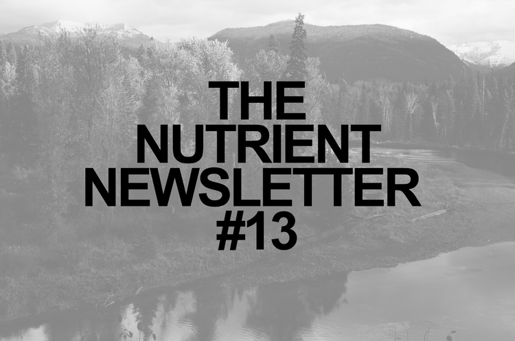 The Nutrient: Verdauungsspaziergang and blood sugar, News addiction, Running at 100