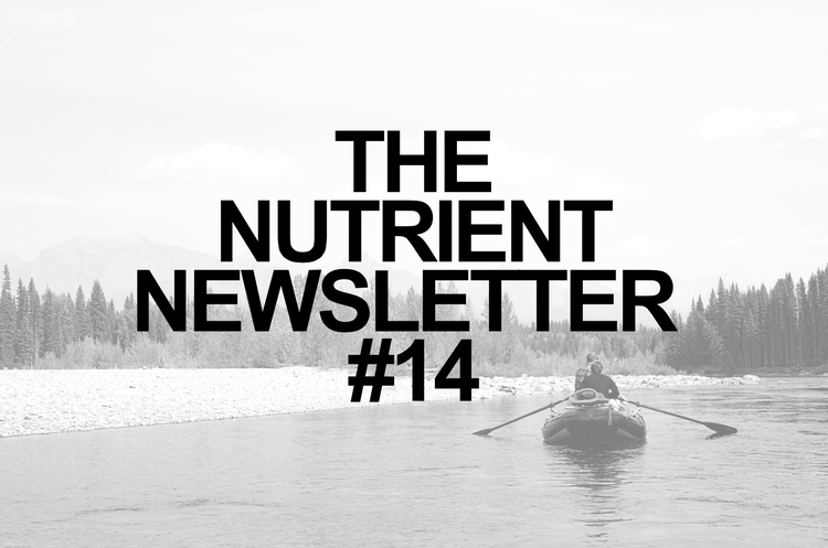 The Nutrient: Updated Labs, Activities, and Diet  for Longevity